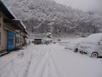 １５日（月）朝の大雪。