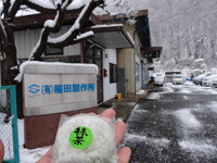 朝からずっと降り続く雪と抹茶大福。