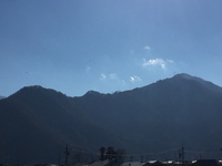 会社の裏山