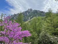 前方にそびえる岩山を目指しました。